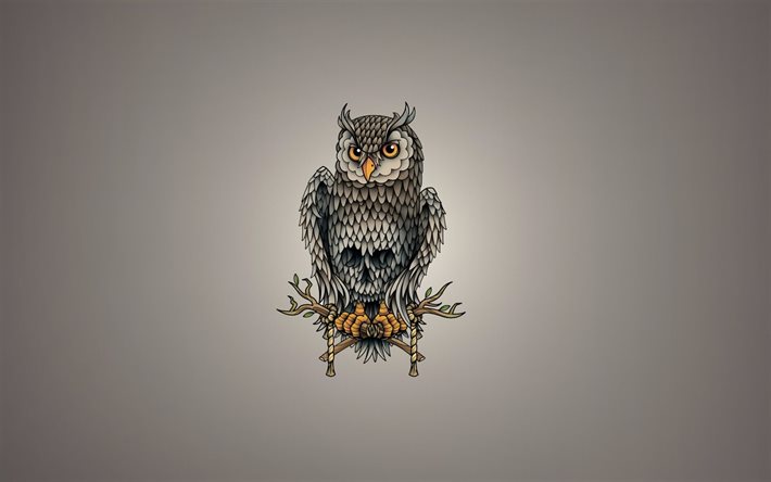 eule, owl, minimalismus