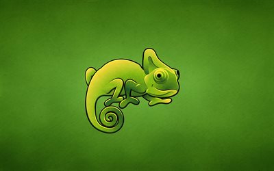 minimalismo, camaleão verde, hameleon