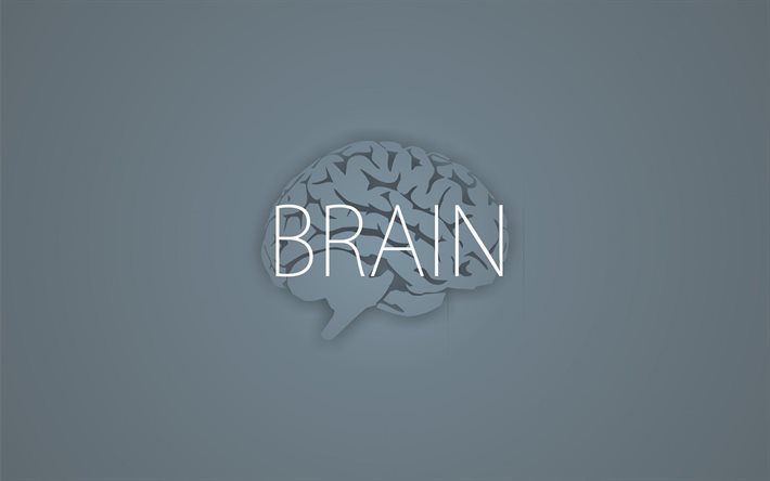 minimalismo, il cervello, sfondo grigio