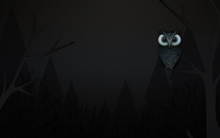 night, owl, branch, tree, abstraction