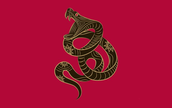 käärme, minimalismi, vaaleanpunainen tausta