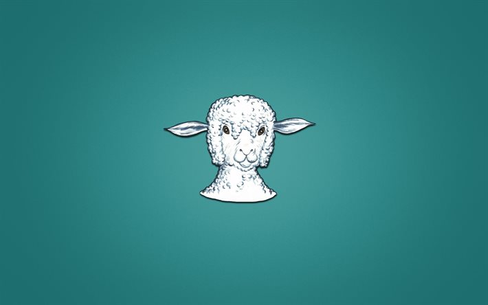 भेड़ का बच्चा, नीले रंग की पृष्ठभूमि, minimalism, बकरी
