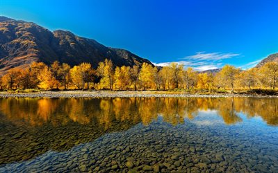 stones, autumn, mountain river, altai, russia
