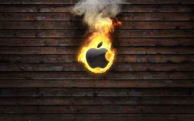 logotipo, maçã, fogo, árvore