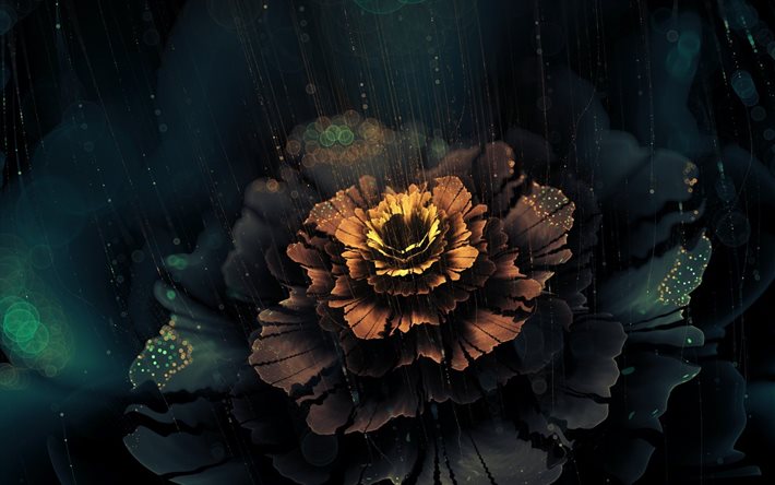 abstraction, flower, the rain