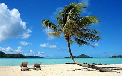 playa, mar, tahití tahití