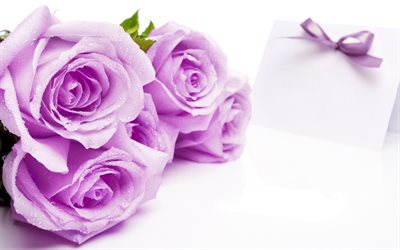 bouquet, flowers, purple roses, gift