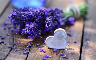 heart, bouquet, lavender
