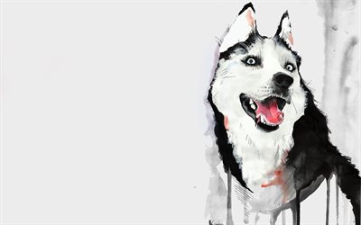 l'art, un chien, un husky
