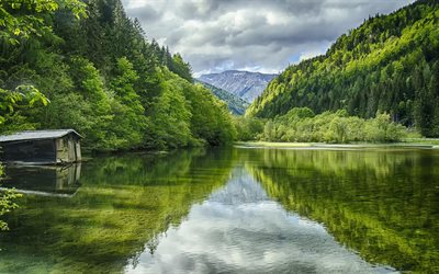 lago verde, bosque, montañas, austria