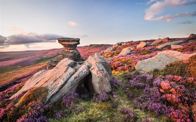 الحجارة, المنحدرات, في منطقة الذروة, الحديقة الوطنية, إنجلترا, شيفيلد