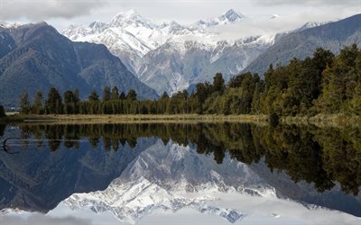 reflexão, lago matheson, nova zelândia, montanhas, floresta