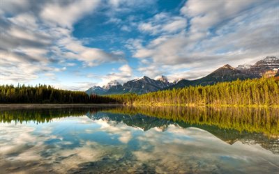 banff, national park, forest, canada, mountains, surface, lake herbert, herbert lake