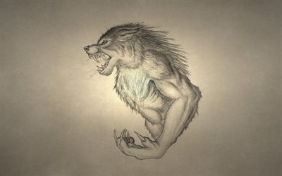 werewolf, wolf, minimalism