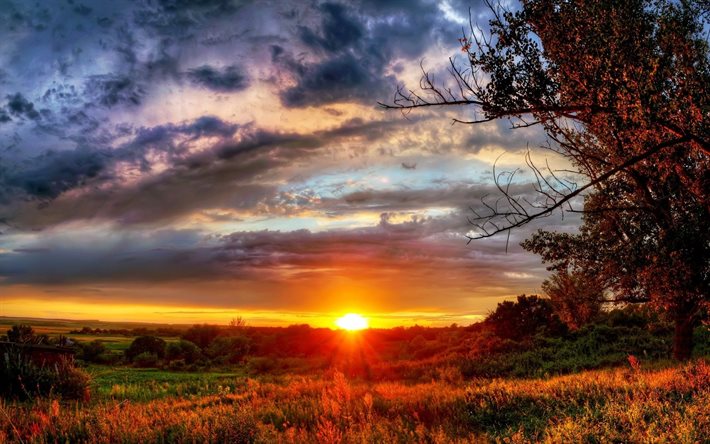 bright sun, autumn, field, sunset, meadows