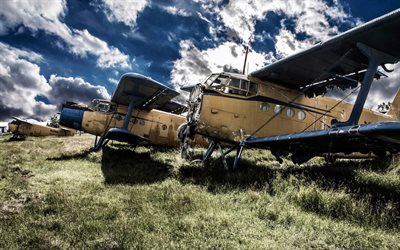 abandoned aircraft, an-2, maize