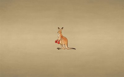 känguru, boxning, minimalism