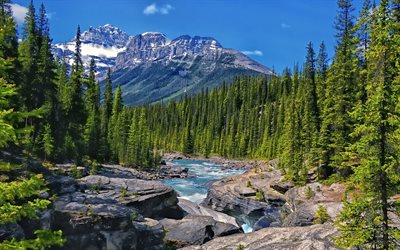 orman, mistaya Nehri, dağlar, bir ulusal park, bir nehir, banff, Kanada