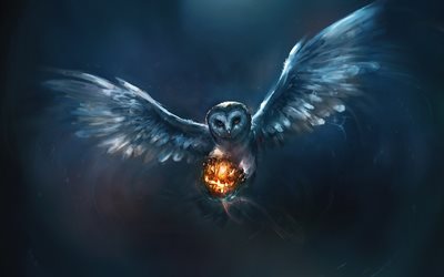 owl, pumpkin, night, Halloween