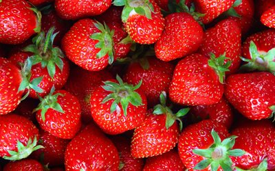 strawberries, 5K, fruits, close-up