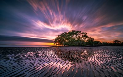 Nudgee de la Playa, 5 KM, el mar, el amanecer, Queensland, Australia