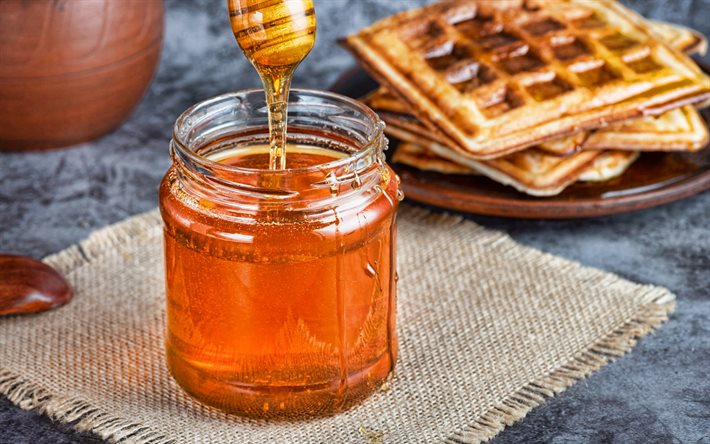 4k, honey, sweets, jar of honey, wooden stick for honey, honey production, linden honey, Belgian waffles, honey concepts