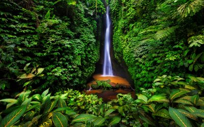 bali, vattenfall, djungel, ström, grönska, vacker natur, indonesien, asien, sommar