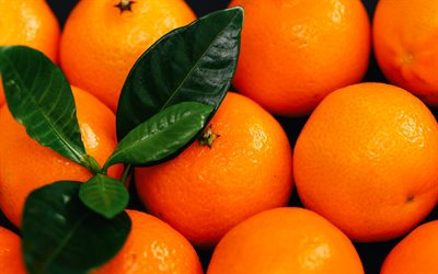 mandarines, les agrumes, fruits oranges, boîte avec des mandarines, fond avec des mandarines, des fruits, acheter des mandarines