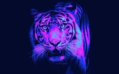 4k, abstract tiger, violet background, Cyberpunk, abstract animals, artwork, wild animals, predators, tiger, Panthera tigris, tigers, Tiger Cyberpunk, picture with tiger, creative