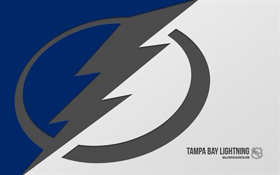 logo lightning tampa bay, 4k, fond bleu, carbone, emblème de la foudre de tampa bay, club de hockey américain, dans la lnh, usa, lightning de tampa bay, hockey