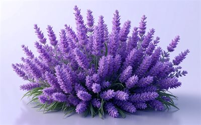 arbusto de lavanda, 4k, fondo morado, flores de primavera, ramo de lavanda, flores de primavera de color púrpura, lavanda