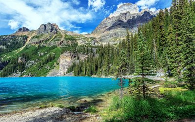 berg, sjö, bergslandskap, skog, blå sjö, kanada, yoho national park