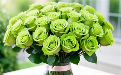 rosas verdes, 4k, jardim, vaso de vidro, bokeh, buquê de rosas, lindas flores, fundo com rosas, flores verdes, rosas