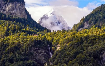 마이링겐, 알프스 산맥, 핀스테라르호른, 봄, 바위, 산 풍경, 폭포, 숲, 베른, 스위스