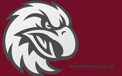 männliches warringah sea eagles logo, 4k, burgunderfarbener hintergrund, carbon kunst, nrl, männliches warringah sea eagles emblem, australisches rugby team, australien, männliche warringah seeadler, rugby
