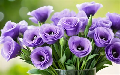 eustoma violeta, 4k, jardim, vaso de vidro, bokeh, buquê de eustoma, lindas flores, fundo com eustoma, flores violetas, eustoma