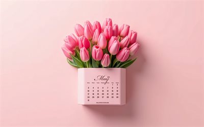 calendrier de mai 2026, tulipes roses, calendriers 2026, calendrier mai 2026, fond rose, tulipes, peut