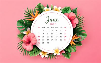 calendario junio 2026, 4k, fondo rosa, flores tropicales, calendario junio ​​2026, elementos florales, junio, calendarios 2026, flores de verano