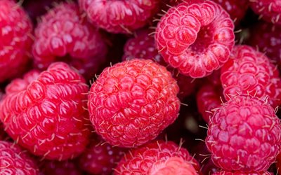 raspberry, ripe berries, macro, berries texture, background with raspberry, food textures, raspberry textures, picture with raspberry