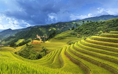4k, china, los campos de arroz, las montañas, el verano, la hermosa naturaleza, la agricultura conceptos, asia, la agricultura