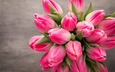 rosa tulpaner, 4k, bukett tulpaner, vårblommor, makro, rosa blommor, tulpaner, vackra blommor, bakgrunder med tulpaner, rosa knoppar