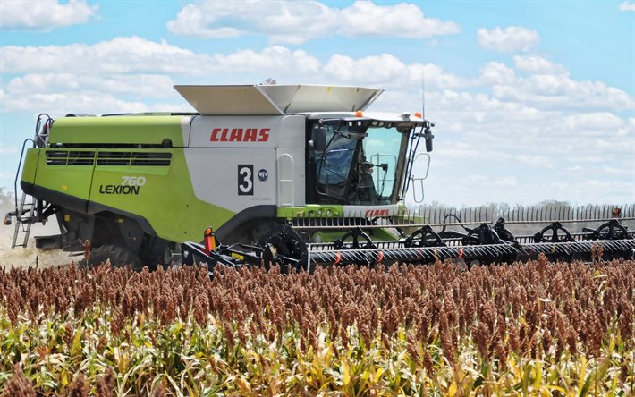 Claas Lexion 760, rapeseed, combine harvester, 2022 combines, sunset, rapeseed harvesting, harvesting concepts, agriculture concepts, Claas