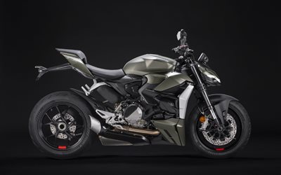 2023, Ducati Streetfighter V2, 4k, side view, exterior, racing bike, gray Ducati Streetfighter, italian sportbikes, Ducati
