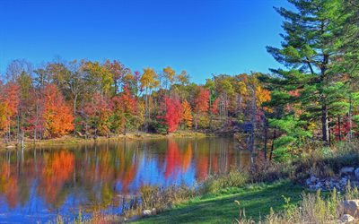 bosque, michigan, el lago, estados unidos, otoño