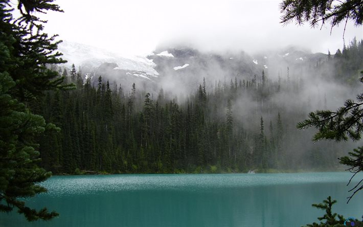 nevoeiro, floresta, o lago, canadá