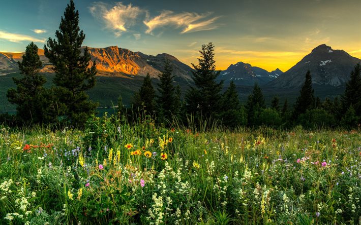 usa, montagna, montana, tramonto