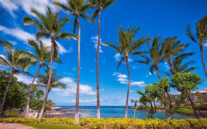 spiaggia, costa, mare, hawaii, usa