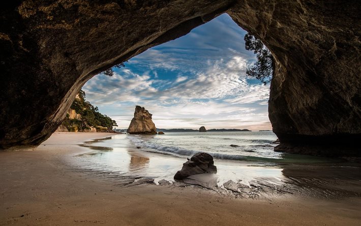 rock, costa, nueva zelanda, el arco, la isla norte de nueva zelanda