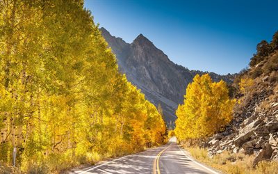 الأشجار, الجبال, كاليفورنيا, الولايات المتحدة الأمريكية, الطريق, الخريف, شرق سييرا