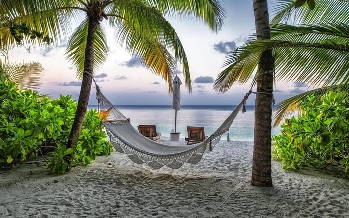 hammocks, the beach, sunset, palm trees